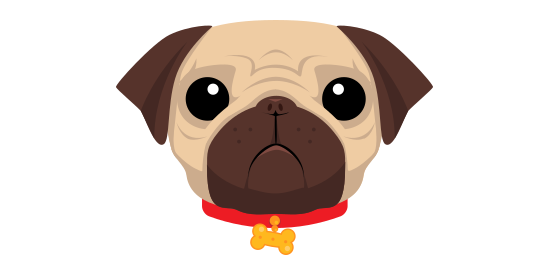 Intégration Figma → Code